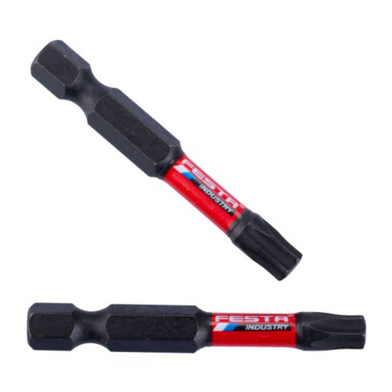 bit,hrot Torx 30x50mm 1/4 2ks/bal Festa 18724