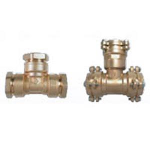 GEBO BT  Tkus  32        ms pre PE